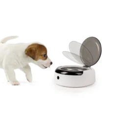 CAMP4 Gamelle Avec Détecteur De Présence 5 CAMP4 Gamelle Avec Détecteur De Présence -Magasin De Matériel De Camping camp4 gamelle pour chien avec detecteur de presence 2