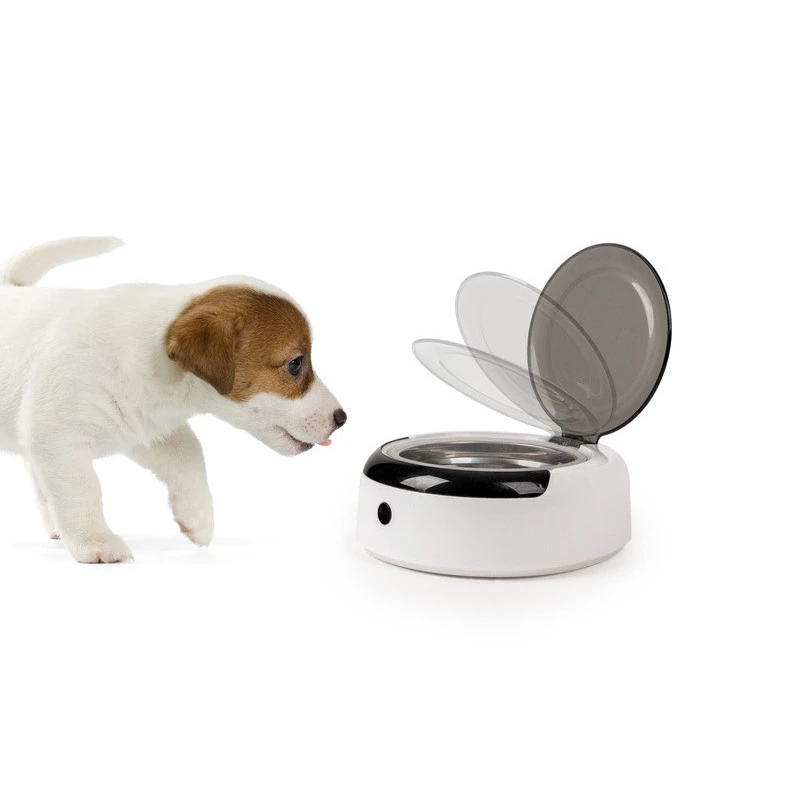 CAMP4 Gamelle Avec Détecteur De Présence 3 CAMP4 Gamelle Avec Détecteur De Présence – Image 3