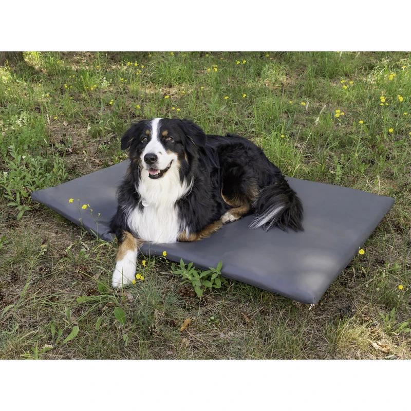 CAMP4 Matelas Pour Chien T5-T6 California 2 CAMP4 Matelas Pour Chien T5-T6 California – Image 2