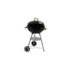 CAO Barbecue Four "Saveur"