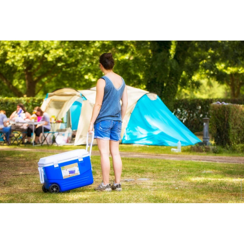 CAO Glacière Rigide à Roulettes 6 CAO Glacière Rigide à Roulettes – Image 6